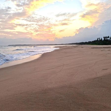 Ardeen Villa - Superb 3 Bedroom Beachfront For 6, Bb, Free Pick Up For 7 Night Stays Arriving Together, Fully Serviced, Taxes Included Tangalle Exteriör bild