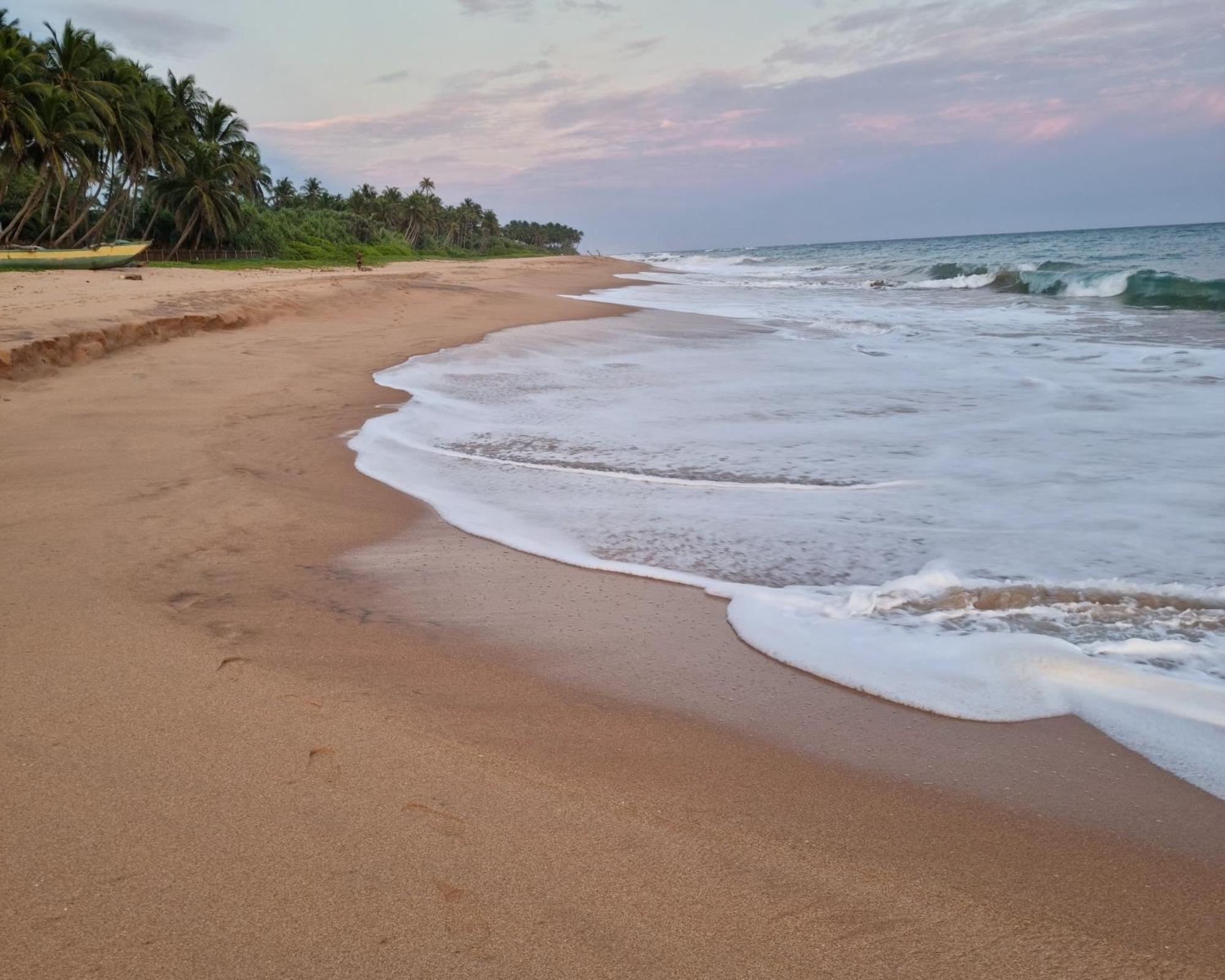 Ardeen Villa - Superb 3 Bedroom Beachfront For 6, Bb, Free Pick Up For 7 Night Stays Arriving Together, Fully Serviced, Taxes Included Tangalle Exteriör bild